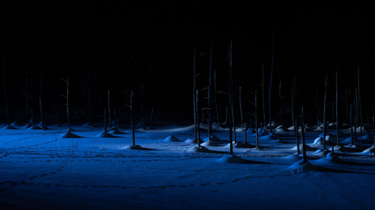 真冬の青い池を夜散歩